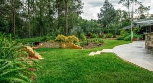 Landscape Design & Installation