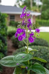 TPG-Gallery-3-scaled.jpg
